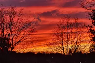 1F Chadwick Ln, Monroe Township, NJ 08831 - Photo 26