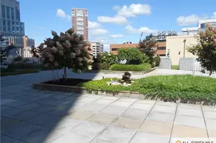 1 Spring St, New Brunswick, NJ 08901 - Photo 24