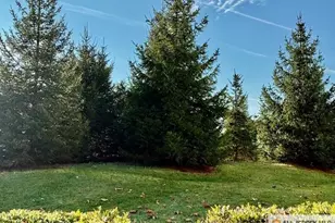 9 Bellingham Dr, South Brunswick Township, NJ 08824 - Photo 38