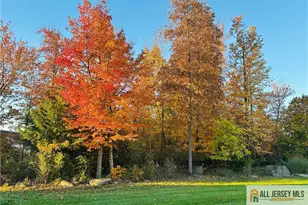 9 Bellingham Dr, South Brunswick Township, NJ 08824 - Photo 40