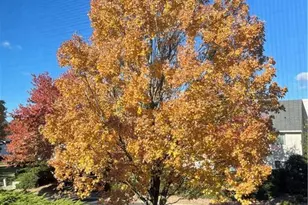 108 Aspen Dr, Plainsboro Township, NJ 08536 - Photo 22