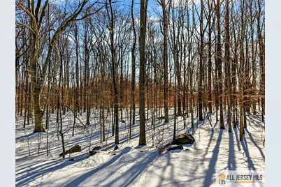 38 Edgemere Drive, South Brunswick Township, NJ 08824 - Photo 4