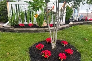 150 Providence Way, Monroe Township, NJ 08831 - Photo 16