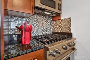 1 Spring St, New Brunswick, NJ 08901 - Photo 10