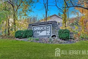 905 Spruce Hills Dr Dr, Glen Gardner, NJ 08826 - Photo 2