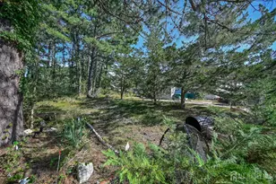 6 Tern Ct, Manchester Township, NJ 08759 - Photo 6