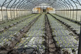 427 Isaac Budd Rd, Southampton, NJ 08088 - Photo 1