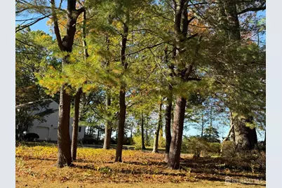 3 Beechtree Lane, Plainsboro Township, NJ 08536 - Photo 4