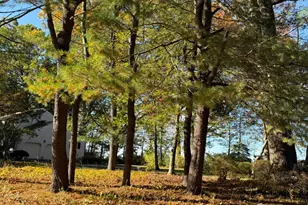 3 Beechtree Ln, Plainsboro Township, NJ 08536 - Photo 4