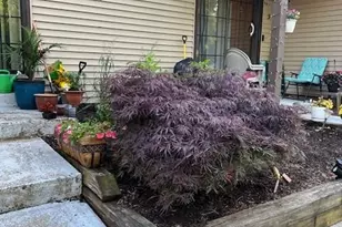 40 Prospect St, Metuchen, NJ 08840 - Photo 14