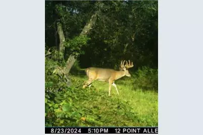 633 Lake Road, Melrose, WI 54642 - Photo 1