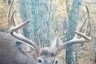 22045 Zink Rd, Fairchild, WI 54741 - Photo 1