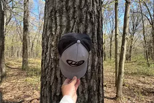 0 Hwy 25, Wheeler, WI 54772 - Photo 1