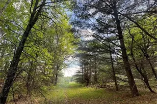 5304 Gaslyn Rd, Webster, WI 54893 - Photo 1