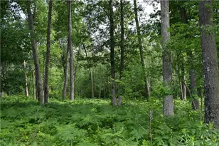 8887 Fosberg Rd, Siren, WI 54872 - Photo 1
