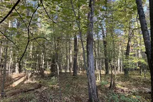 24877 Leghorn Dr, Siren, WI 54872 - Photo 1