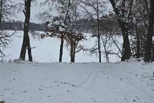 9019 W Wood Duck Ln, Minong, WI 54859 - Photo 1