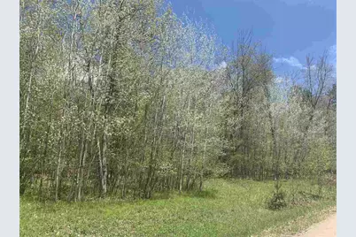 Lime Ridge Road, Shawano, WI 54166 - Photo 1