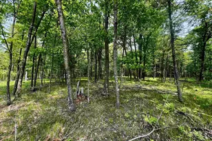 Rhett Rd, Wausaukee, WI 54177 - Photo 1