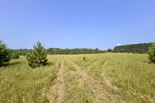 Neumeier Rd, Wausaukee, WI 54177 - Photo 1