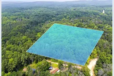 Brewster Lane, Lakewood, WI 54138 - Photo 1