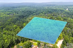 Brewster Ln, Lakewood, WI 54138 - Photo 1