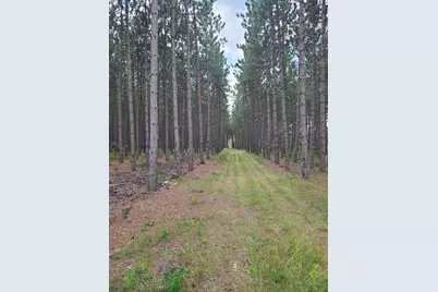 N7299 Spike Horn Lane, Pembine, WI 54156 - Photo 1