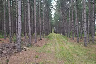 N7299 Spike Horn Ln, Pembine, WI 54156 - Photo 1