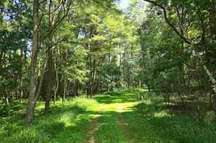 Meadow Shores Rd, Neshkoro, WI 54960 - Photo 1