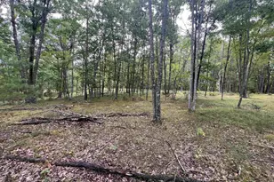 Rhett Ln, Wausaukee, WI 54177 - Photo 1