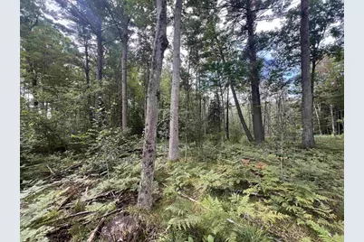 Rhett Lane, Wausaukee, WI 54177 - Photo 1