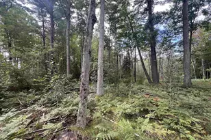 Rhett Ln, Wausaukee, WI 54177 - Photo 1