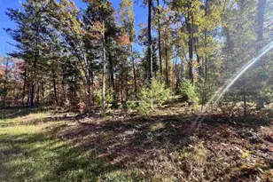 Rhett Ln, Wausaukee, WI 54177 - Photo 1