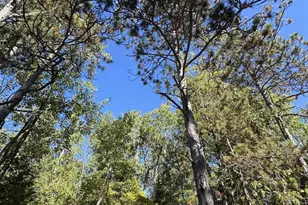 Idlewild Woods Dr, Sturgeon Bay, WI 54235 - Photo 1