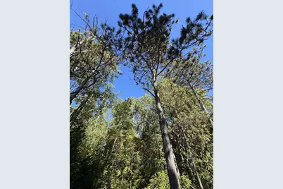 Idlewild Woods Drive, Sturgeon Bay, WI 54325 - Photo 1