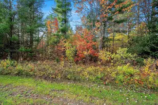 Willis Ave, Pembine, WI 54156 - Photo 1