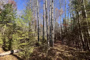 Jossart Rd, Pembine, WI 54156 - Photo 1