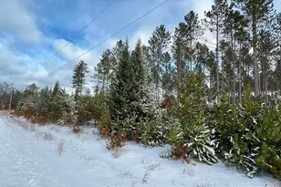 County X Rd, Crivitz, WI 54114 - Photo 1