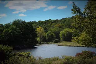 W16393 Crane Lake Ln, Athelstane, WI 54104 - Photo 1