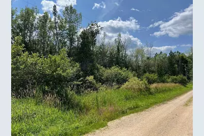 Aderman Lane, Daggett, MI 49821 - Photo 1