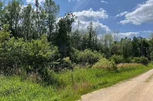 Aderman Ln, Daggett, MI 49821 - Photo 1