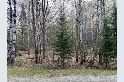 Nejedlo Road, Wausaukee, WI 54177 - Photo 1