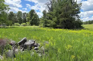 N Greenview Ln, Crivitz, WI 54114 - Photo 1