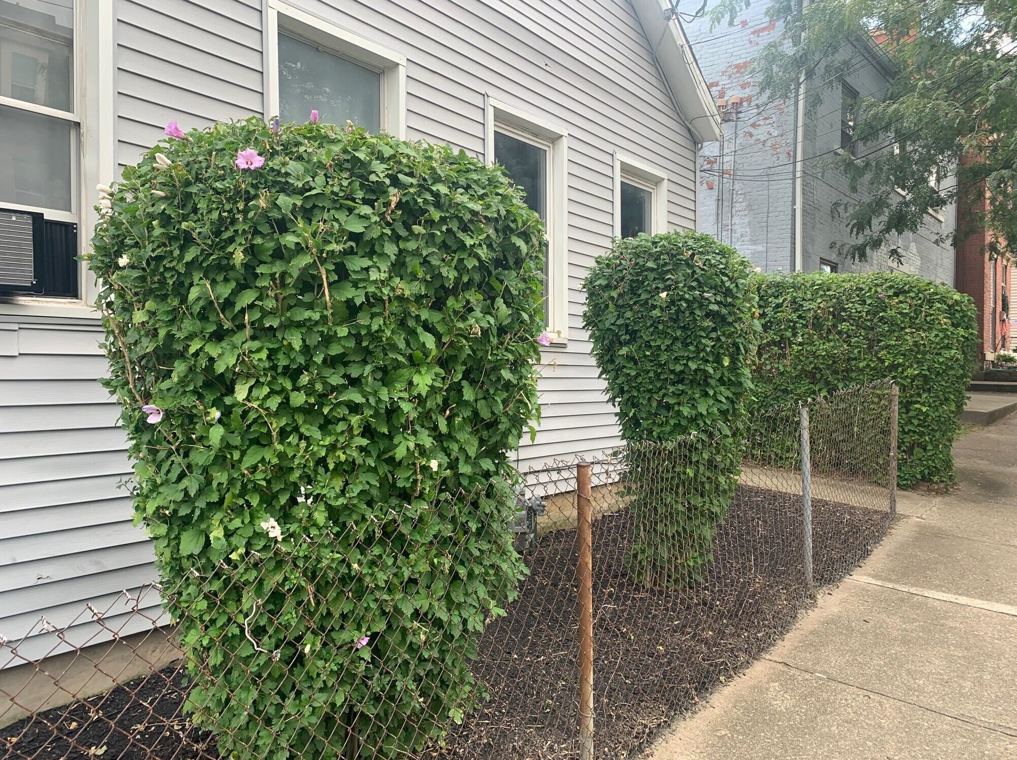313 E 11th St #15, Covington, KY 41011