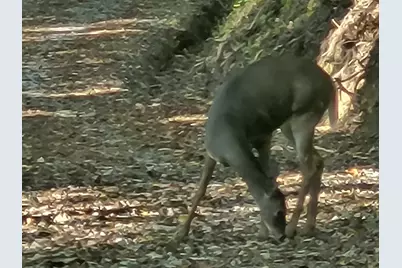 12376 Ryle Road, Union, KY 41091 - Photo 18