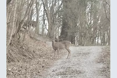 12376 Ryle Road, Union, KY 41091 - Photo 20
