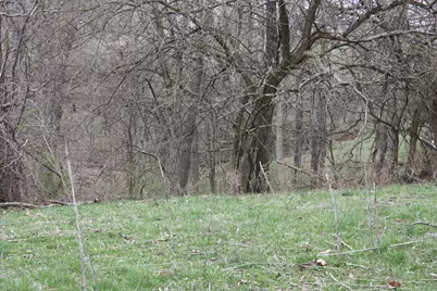 9520 East Bend Road, Burlington, KY 41005 - Photo 4