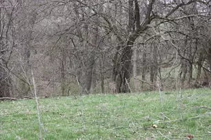 9520 East Bend Road, Burlington, KY 41005 - Photo 4