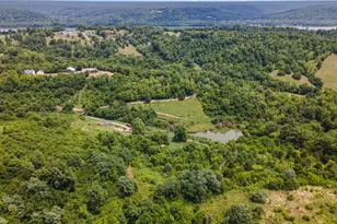 6436 Vineyard Ln, Melbourne, KY 41059 - Photo 12