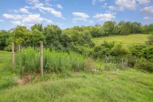 6436 Vineyard Ln, Melbourne, KY 41059 - Photo 10